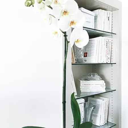 Superbe Loft A Apartamento Versalles